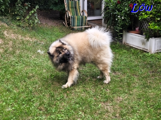 21.7.2025 - Gartenlust